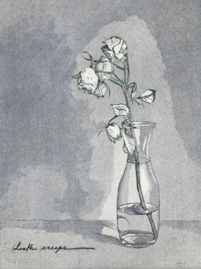 Essay: Natural Death