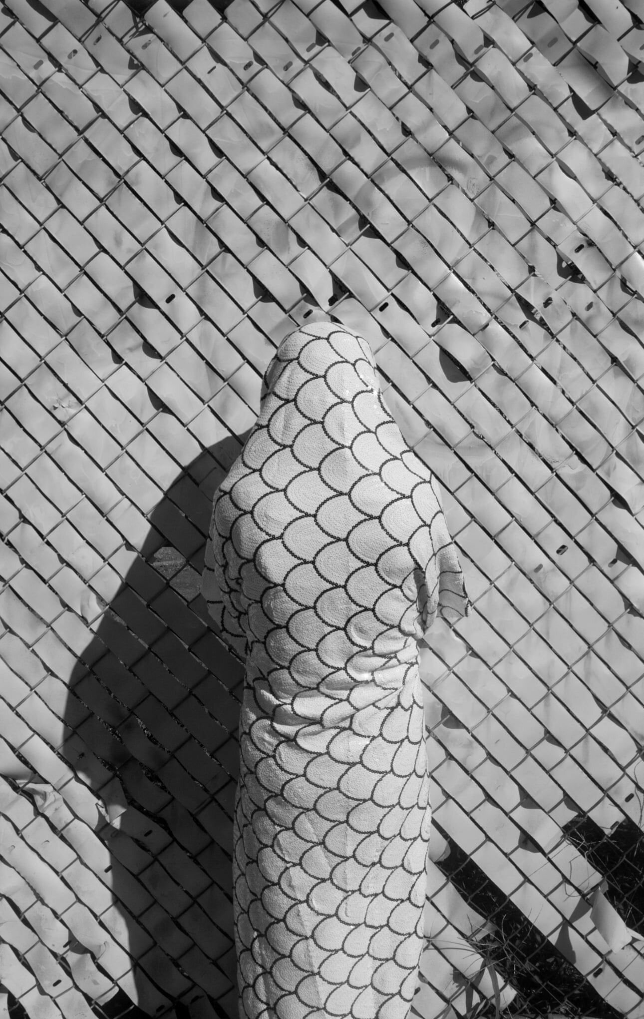 Image: Lucia Fainzilber