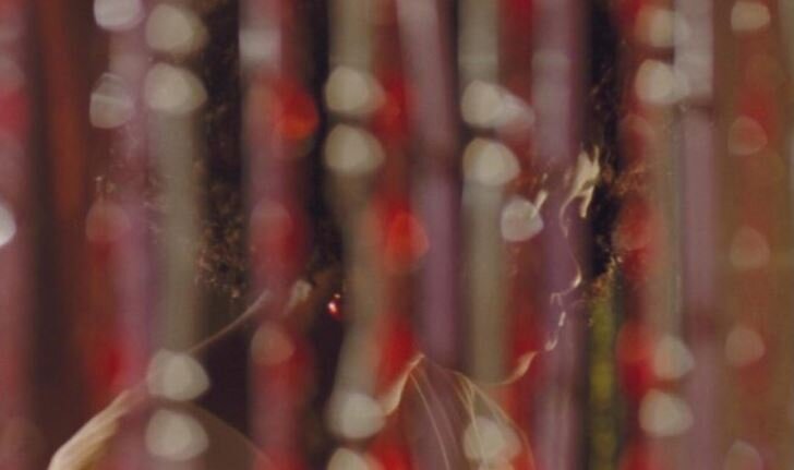 Essay: A New Dawn For Nigerian Cinema